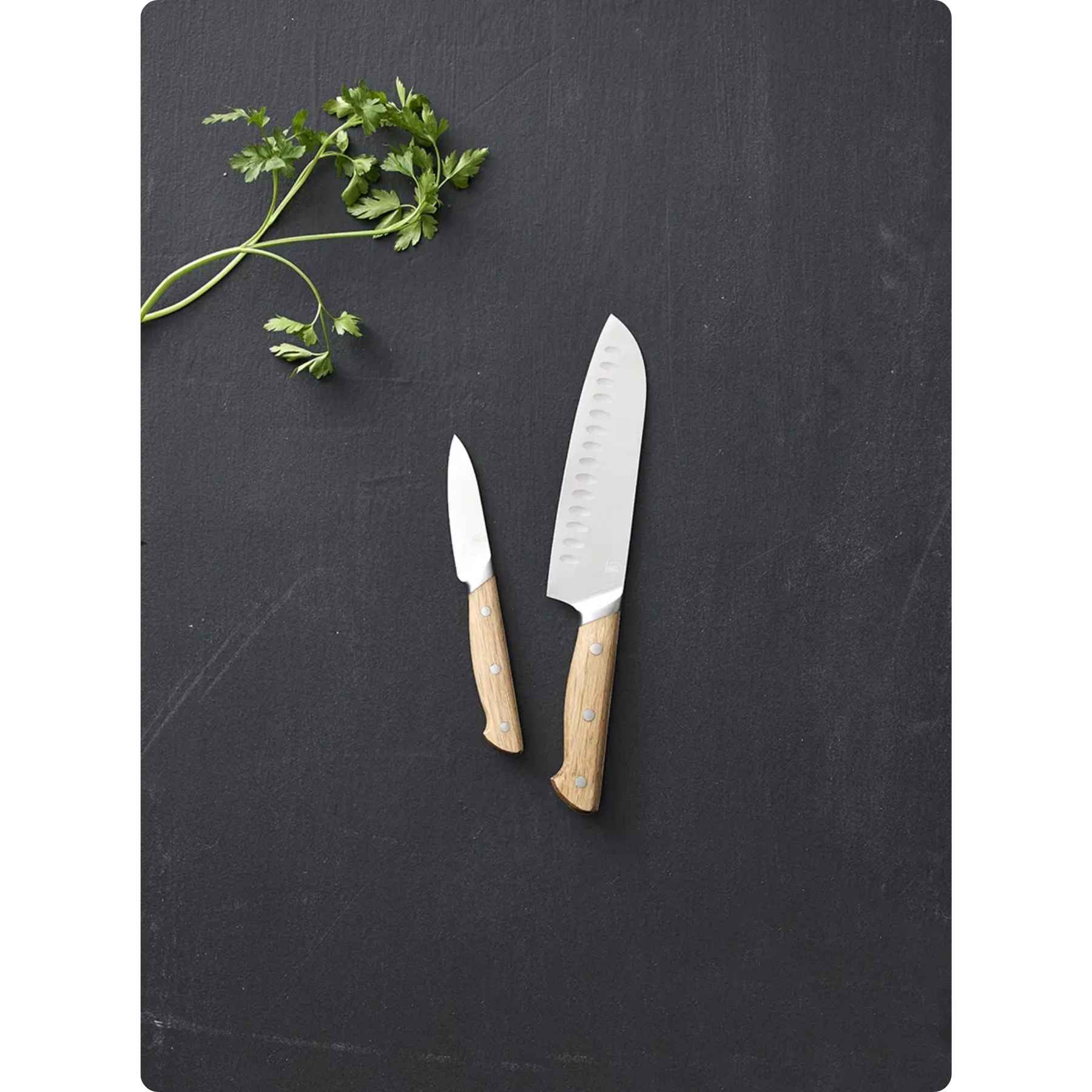 Morsø Foresta Knivsæt 2 dele Eg/Rustfrit stål